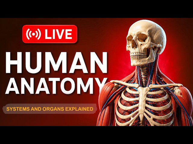 🔴 LIVE Human Anatomy and Physiology | Inside Us