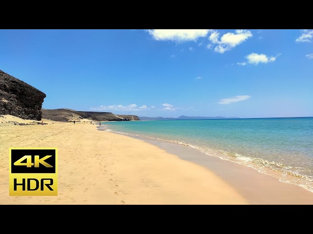 Peaceful Ocean Waves for Sleeping, Relaxing and Studying: 8 Hours 4K Video