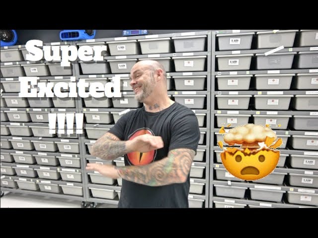 Freeway Clown ?? Are We Going To Hit It ??