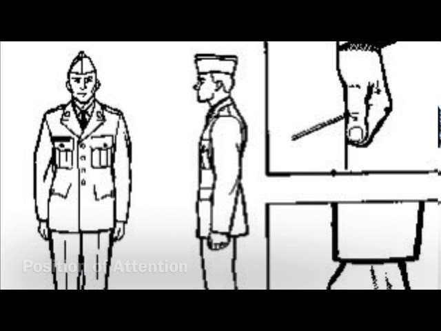 Basic Drill Movements NJROTC