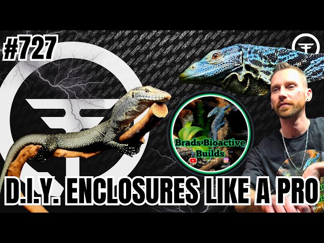Going Far & Beyond The Reptile Industry Keeping Standards | Trap Talk w/ Brad's Bioactive Builds