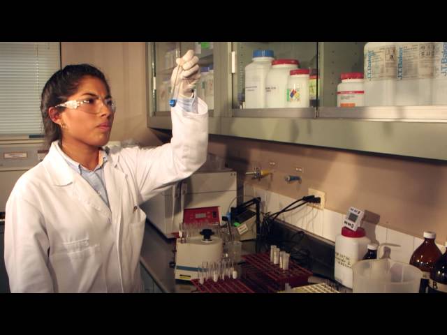 Alltech Serdan – A Mexican Story of Sustainable Agriculture