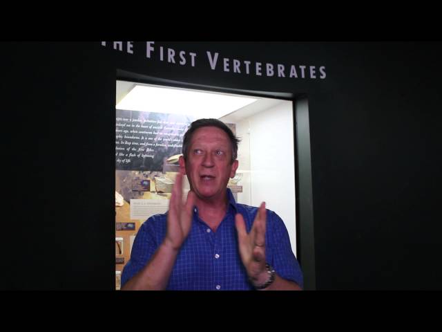 Diamonds to Dinosaurs