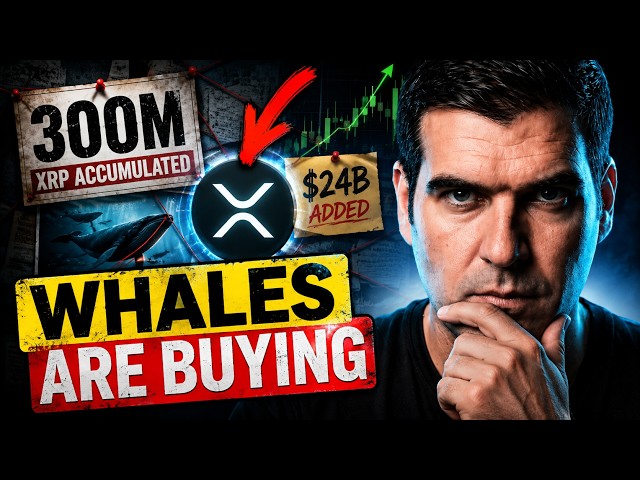 XRP Whales See Something Coming