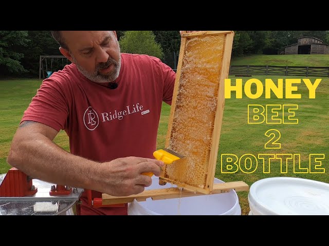 Honey!!! | From Bee 2 Bottle | Full Process of Collecting, Extracting & Bottling PURE HONEY