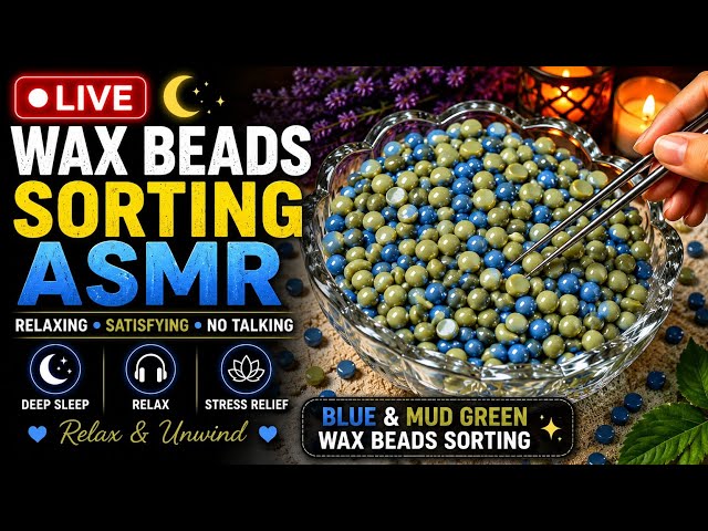 LIVE 🔵🫒 Wax Beads Sorting ASMR | Blue & Olive Green Beads| Satisfying No Talking
