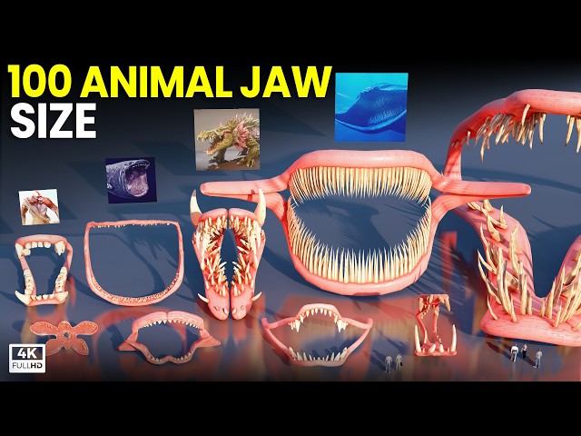 Animal Jaw Size Comparison 2026 | SEA EATER VS BEHEMOTH
