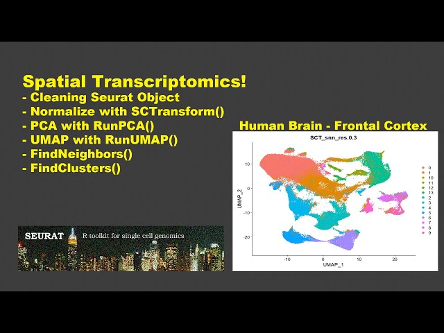 Spatial Transcriptomics  - Part 3: Normalization and Dimension Reduction