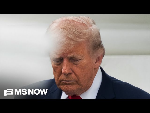 Trump's redistricting plot DEFEATED after Republicans REBEL and join forces with South Carolina Dems