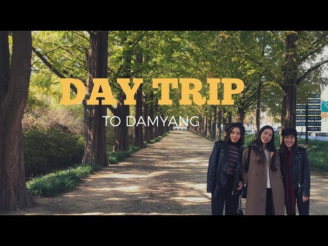 Girls trip to Damyang + Halloween GRWM |vlog#10