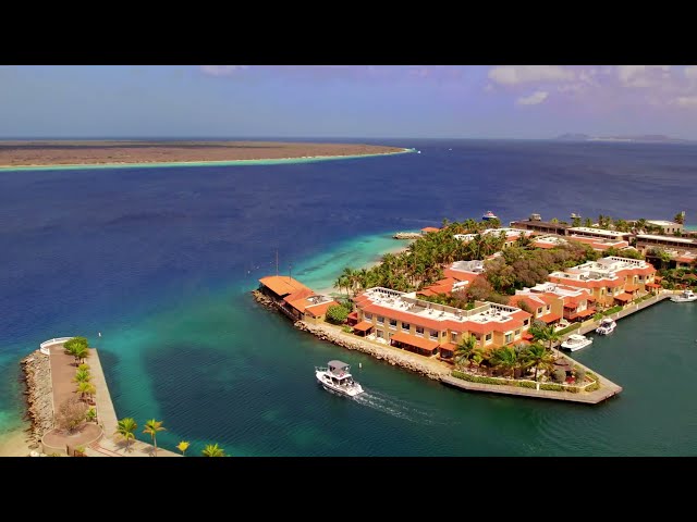 Harbour Village Bonaire
