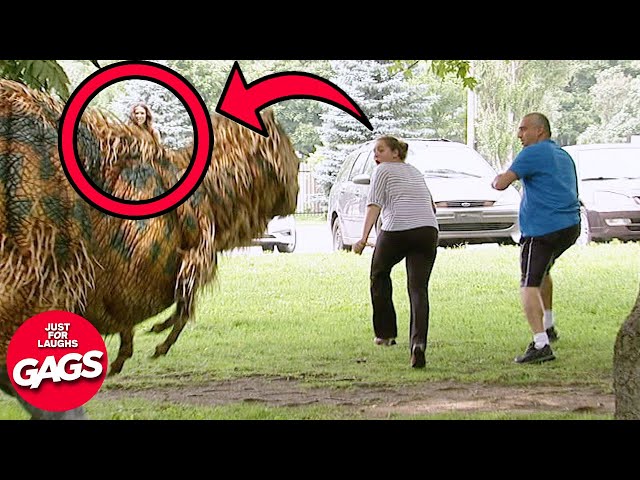 Best Of Evil Pranks Part 3 | Just For Laughs Gags