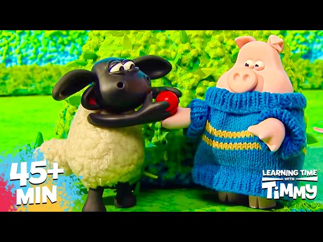 🤸‍♂️ PLAYTIME ADVENTURES COMPILATION | 45+ MIN SPECIAL | Timmy Time