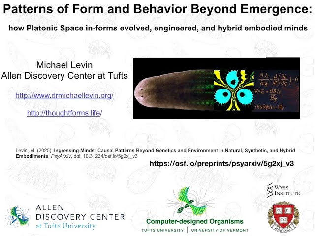 Patterns of Form and Behavior Beyond Emergence by Michael Levin
