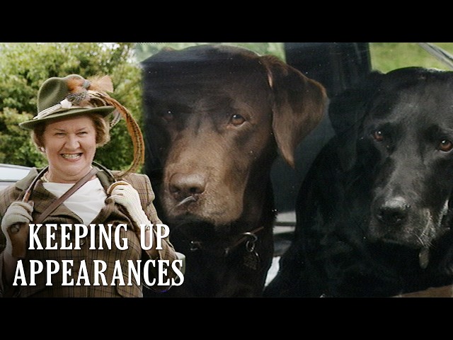 Hyacinth vs Animals | Keeping Up Appearances | BBC Comedy Greats