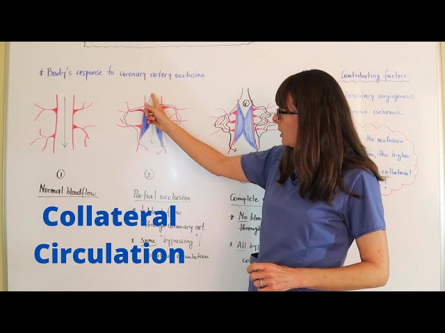 Collateral Circulation