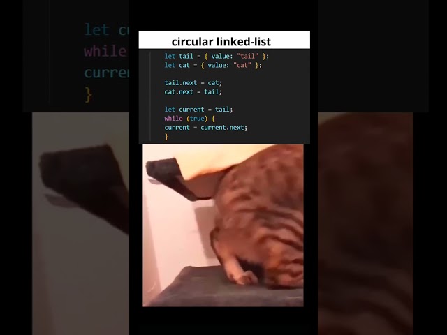 Cute linked list🥰 #programming #linkedlist #array #dsa #python #java #webdeveloper