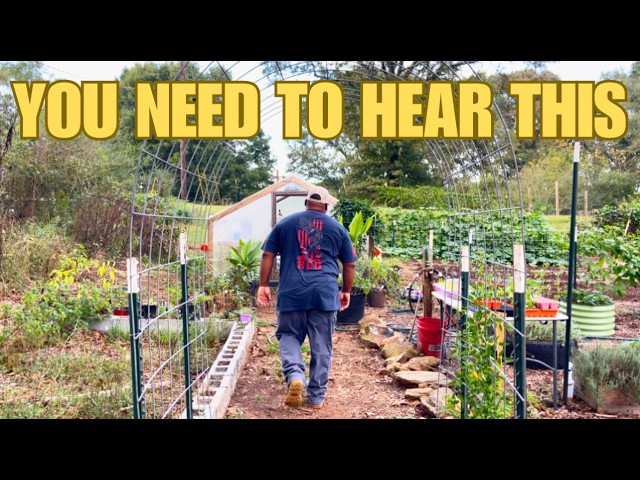 9 Things Gardeners Over 40 NEED To Hear Now!