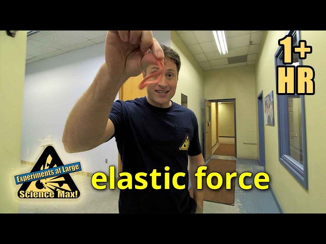 Backyard Science Challenges! Giant Outdoor Experiments | Science Max | Scholastic STEAM