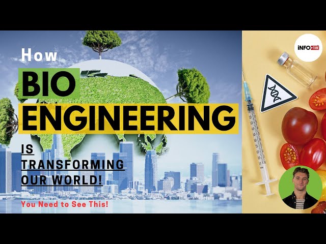 Bioengineering: The Incredible Transformation of Our World!
