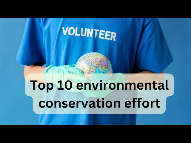 Top 10 Environmental Conservation Efforts Transforming Our Planet