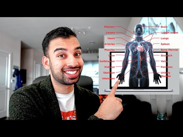 How To Study For Anatomy Like A Pro [Step-By-Step]