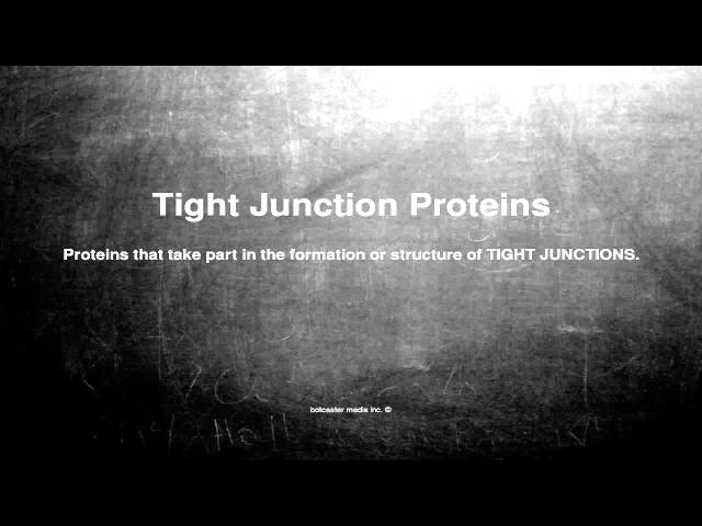 Medical vocabulary: What does Tight Junction Proteins mean