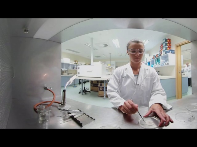 360 Video inside the laboratory 2