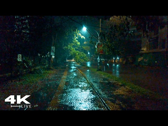 Dark Night Rainstorm Walk  | Rain & Thunder ASMR for Sleep and Focus