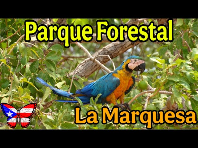 Visité el Parque Forestal La Marquesa en Guaynabo Puerto Rico 🇵🇷