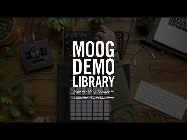 DFAM | How to Tempo Sync your Synth with Ableton using CV Tools