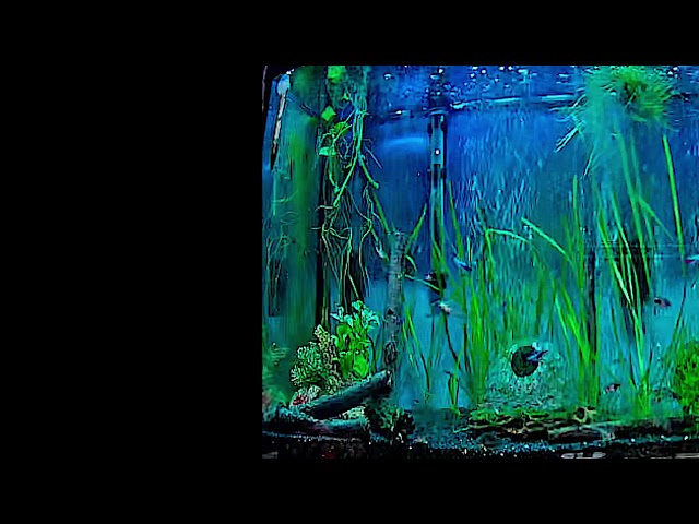Aquarium