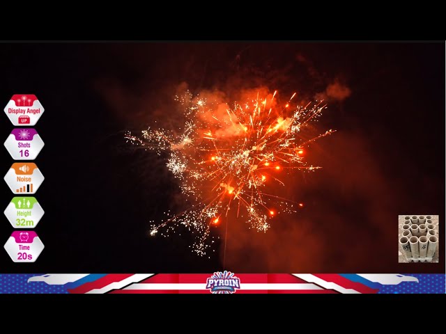 BD4010 16SHOTS 200G CAKE