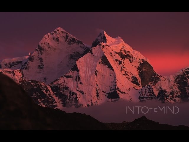 Into The Mind - Official Teaser