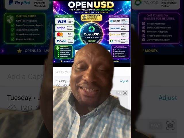 Visa PayPal Ripple has new stablecoin OpenUSD To many people going to be able to produce it 