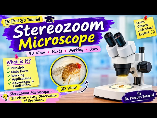 Stereozoom Microscope: Exploring the World in 3D