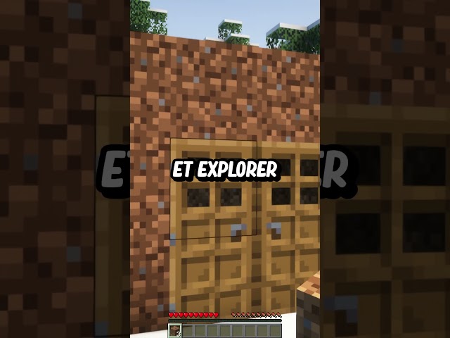 Ce serveur te permet de parcourir le monde entier