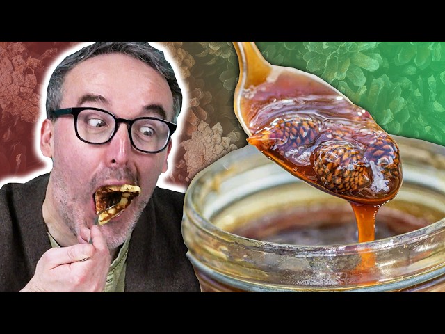 Irish People Try Pine Cones For The First Time
