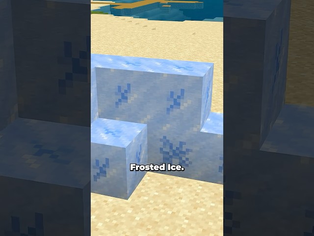 Minecraft Java vs Bedrock Differences!!! (part 8)