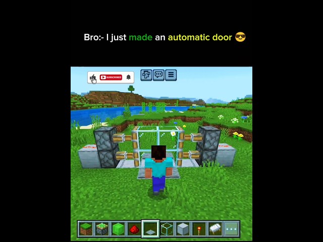 Minecraft in automatic door 🚪