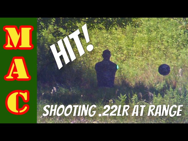 Shooting .22LR at longer ranges.