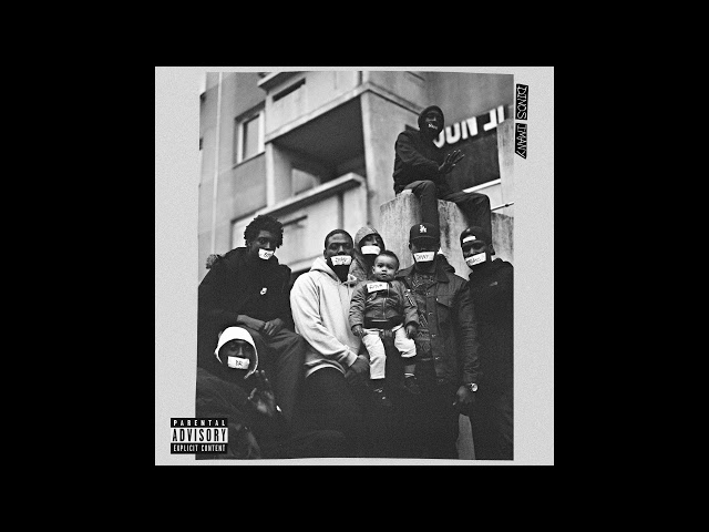 Dinos - Notifications (Audio officiel)