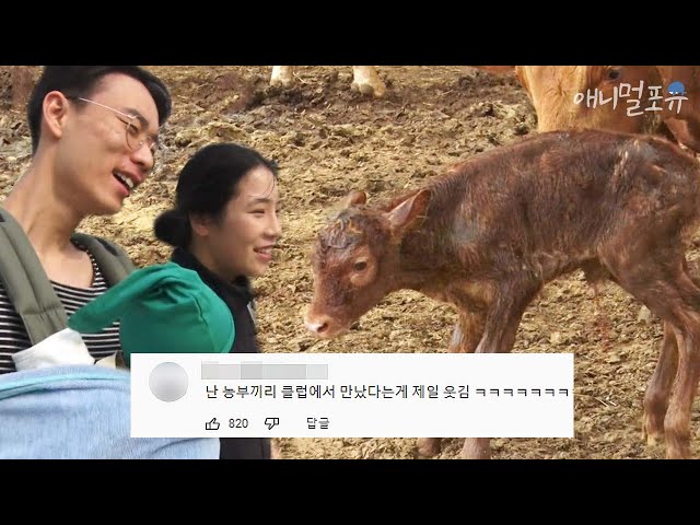 [풀버전] 소 100마리에 논 3000평?! 소 키우면서 사는 98년생 동갑부부 🐮｜동갑내기 영농일기｜KBS 인간극장 방송