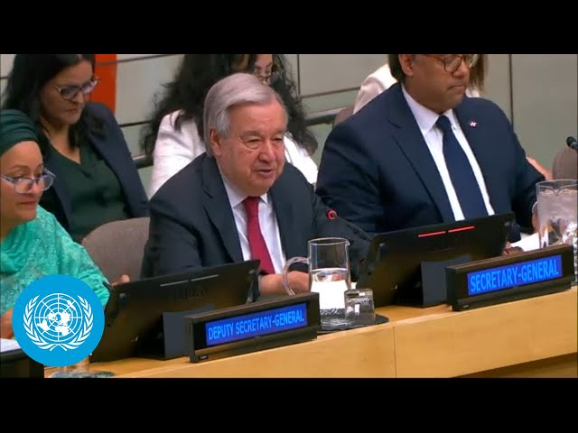 UN Development system: Increasingly under-resourced - UN Chief | United Nations