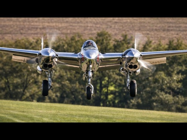 Incredible and RARE Warbirds Touch Down at Hahnweide | Cinematic Grass Runway Landings