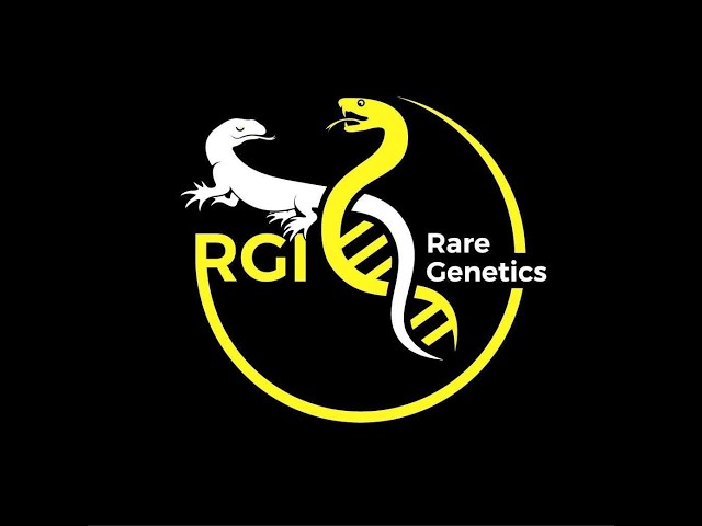 What is shed testing and what can Rare Genetics do for you!
