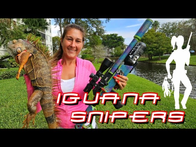 Hunting Giant Iguanas during Breeding Season 