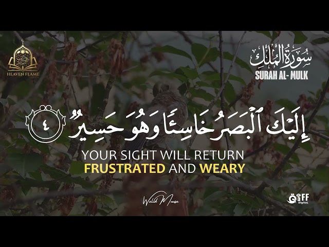 Night Protection and Mercy with Surah Al-Mulk | Peaceful Quran Recitation Before Sleep