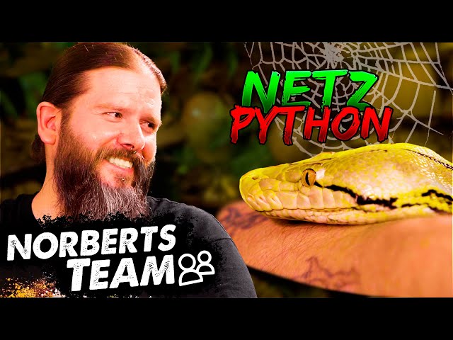 THIS SNAKE CAN GROW TO OVER 7 METERS | NORBERT'S TEAM | Zoo Zajac