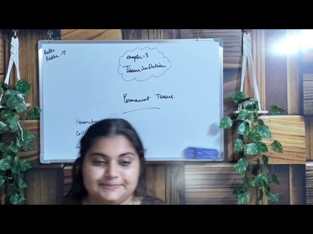 Permanent Tissues: Simple Tissues | Class 9 Science Chapter 3 Parenchyma, Collenchyma, Sclerenchyma